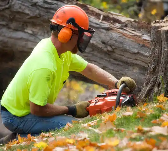 tree services Union